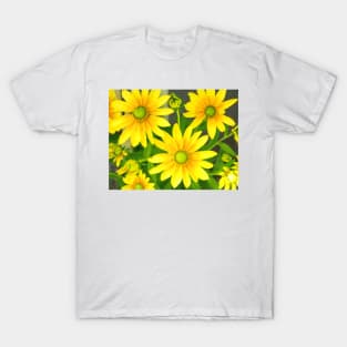 Yellow Summer Cone Flowers in the Garden T-Shirt